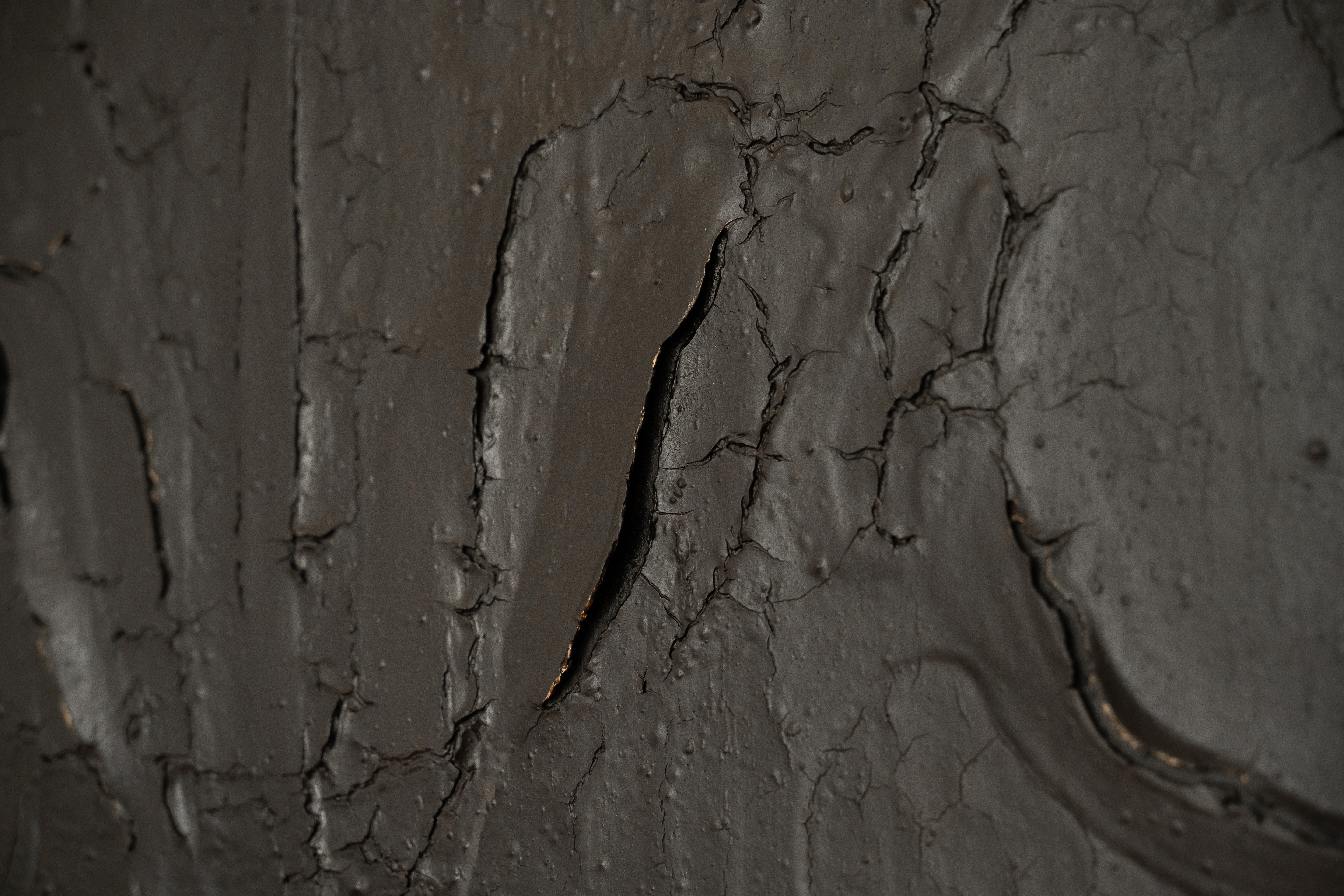 Fissure, 2025